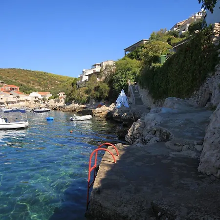 Zavalatica 184a Cara