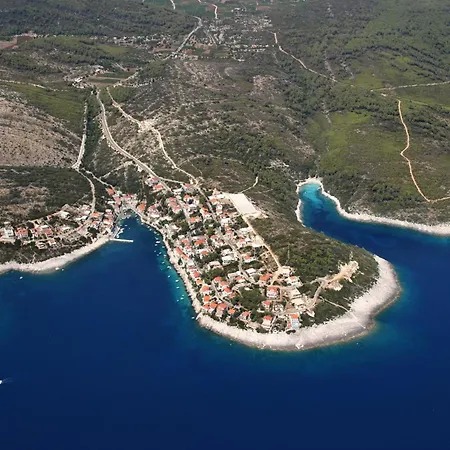 Zavalatica 184a * Cara