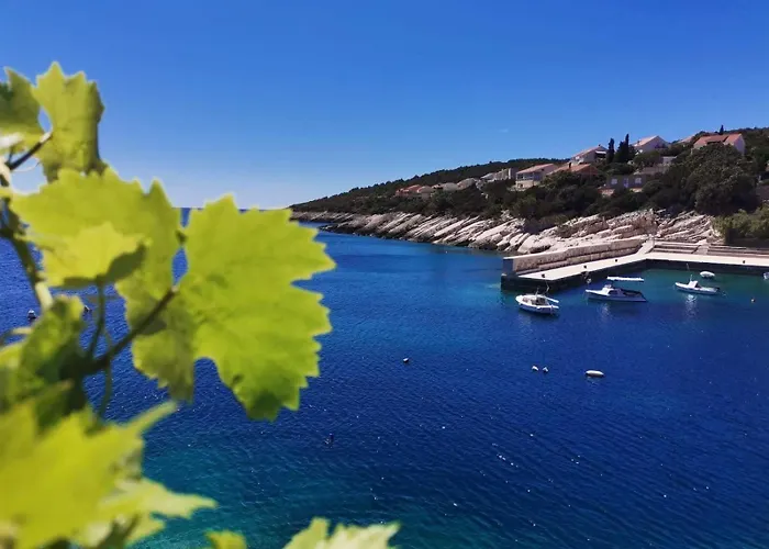 Zavalatica 184a Apartment Cara